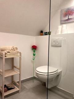 Juvanova hiša (all house) - 4