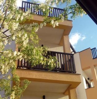 Apartman Darja sa pogledom na jezero - 5