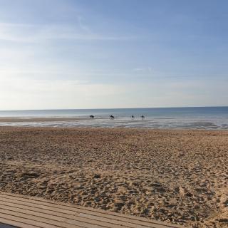 Appartement studio proche mer 4 pers résidence calme avec parc - 3