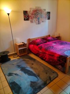 Studio confortable proche des sites touristiques - Issendolus - 1