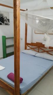 Allens home stay - Jaffna - 9