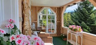 Landhaus-Apartment Feldbergblick - Sankt Märgen - 1