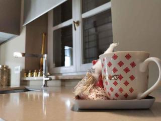 Holiday Homes in Vabriga - Istrien 41768 - Vabriga - 1