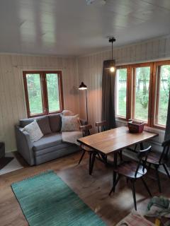 Old Finnish lakeside cottage with sauna - Oulu - 5