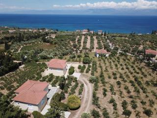ORFANOS 3 - 0