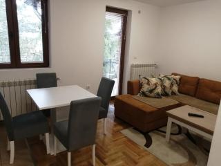 Vila Meridijan - Zlatibor - 2