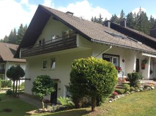 Ferienhaus Frei 1 Hinterzarten - Hinterzarten - 9