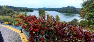 Domek Nad River San - Olchowiec - 6