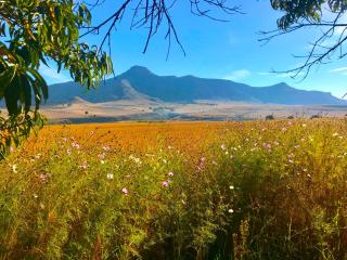 Jovali Clarens - Clarens - 3