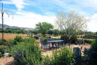 Aloe Guest House - Prince Albert - 1