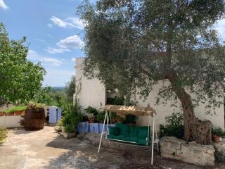Villa in pietra - Cisternino - 9
