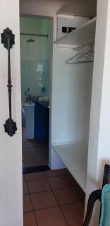 Ocean rush Seagull - 2