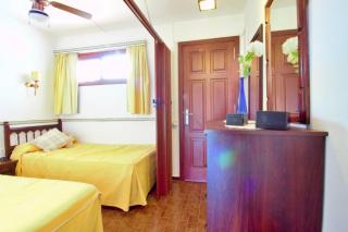 Studio with a canarian atmosphere in the south - Costa del Silencio - 4