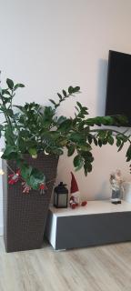 Triventi Apartament Rajski - 6