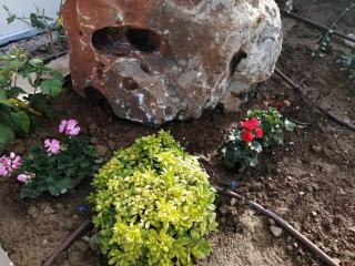 Entire Villa Phenomena - 7