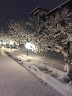 Apartmani Berghaus - 2