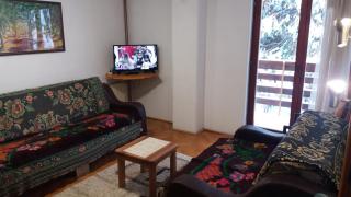 APARTMANI ZLATIBOR - Zlatibor - 1