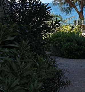 GARDEN LEFKANTI sea rooms & aparts - 4