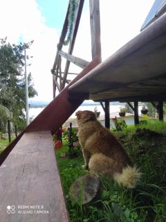 Glamping Chinu - Guatavita - 8