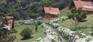 Pousada do Morro Verde - Carvalhos - 1