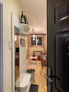 Ski-in & Ski-out, Apartman Filip - 30m from GONDOLA Brzeće - 4