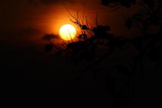 Purnima Resort Neil Island - Neil Island - 1