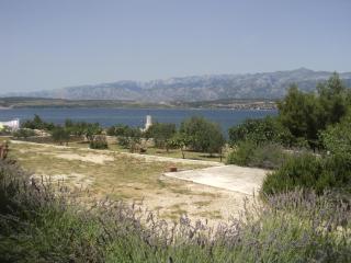 Apartments Mikecin - Novigrad (Cittanova) - 6