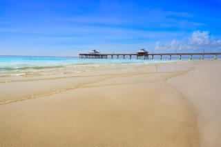 Coral Hideaway - Cape Coral - 9