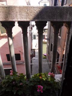 Biennale 252 - Venezia - 8