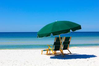 Dune Things - Santa Rosa Beach - 5