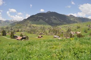 Alpenchalet Weidhaus Gstaad - Gstaad - 3