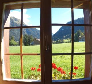 Alpenchalet Weidhaus Gstaad - Gstaad - 1