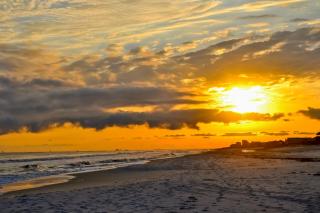 The Rookery #6005 - Gulf Shores - 7