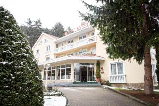 Villa Medici Hotel & Restaurant - Veszprém - 9