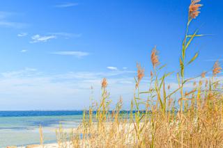 Topsail Village: Kim's Crystal Cave - Santa Rosa Beach - 2