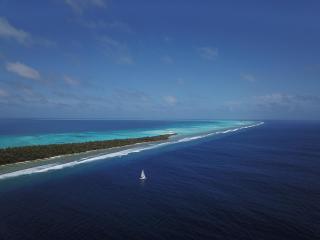 Island Luxury Boutique Hotel - Fulhadhoo - Fulhadhoo - 2