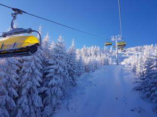 Biała Perła Sunny Mountain 103 - Sienna - 7