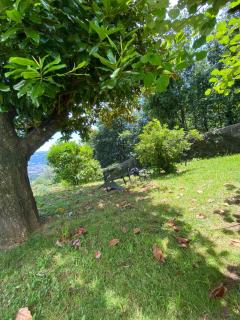 Lugar do Pombal - Mos - 6