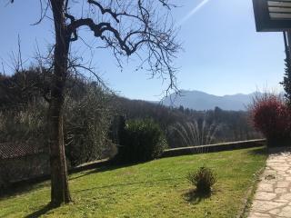 La Limonaia di Casagrande - Barga - 6