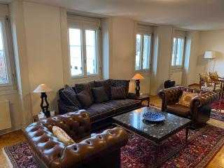 Genève, plein centre,belle vue Lac, splendide et grand appartement - Ginevra - 8