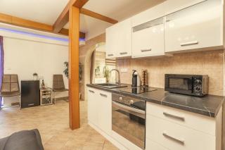 Wellness studio! Finnish sauna, Whirlpool, Gym & more! - Prague - 6