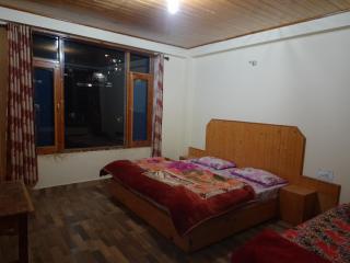 The Paradise, Old Manali - 9