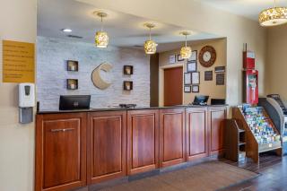 Comfort Inn & Suites North Aurora - Naperville - Aurora - 5