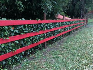 Vivenda dos Guaranys -Um projeto ecológico - Casa - 4