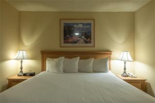 Grand Lodge Condo in the Heart of Mt Crested Butte condo - 9
