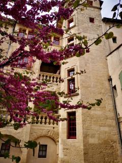 appartement a 50 m de la place aux herbes - Uzès - 8