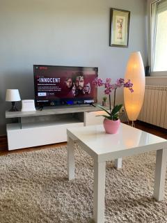 Sunkissed apartment - 9