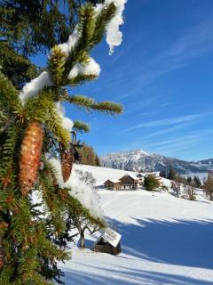 Kirchenbichlerhof - Pruggern - 3