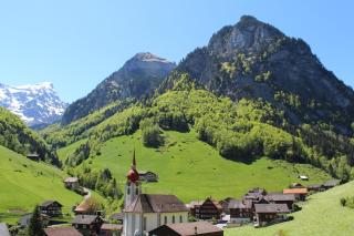 Hotel Urirotstock - Isenthal - 8