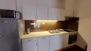 Apartment Moser 1303 - Karlovy Vary - 3